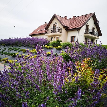 Apartamenty, Zielone Wzgorze Wiktora W Mikolajkach Mikołajki Exteriér fotografie
