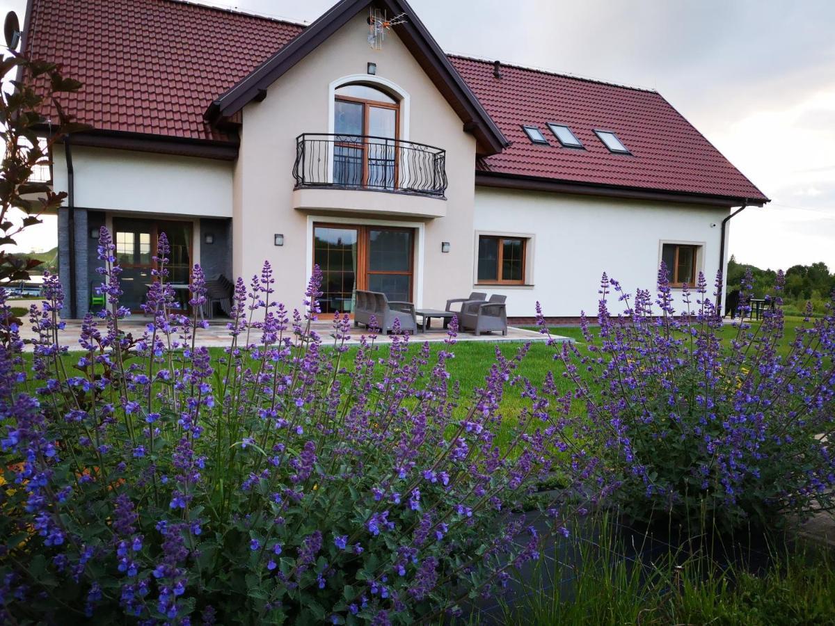 Apartamenty, Zielone Wzgorze Wiktora W Mikolajkach Mikołajki Exteriér fotografie